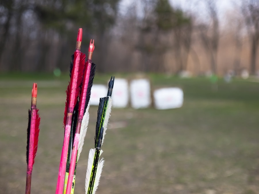 arrows and in the background some archery targets