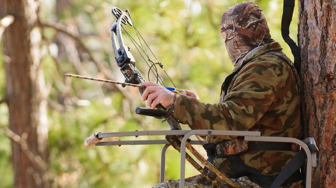 Bow hunter in climbing tree stand