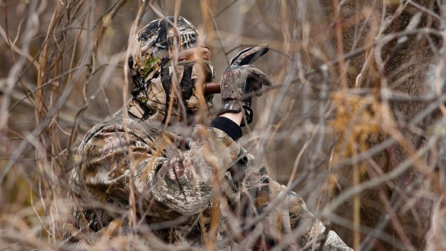 a hunter using a turkey call hiding in a bush