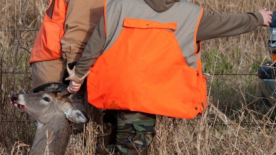 hunters pulling a dead deer