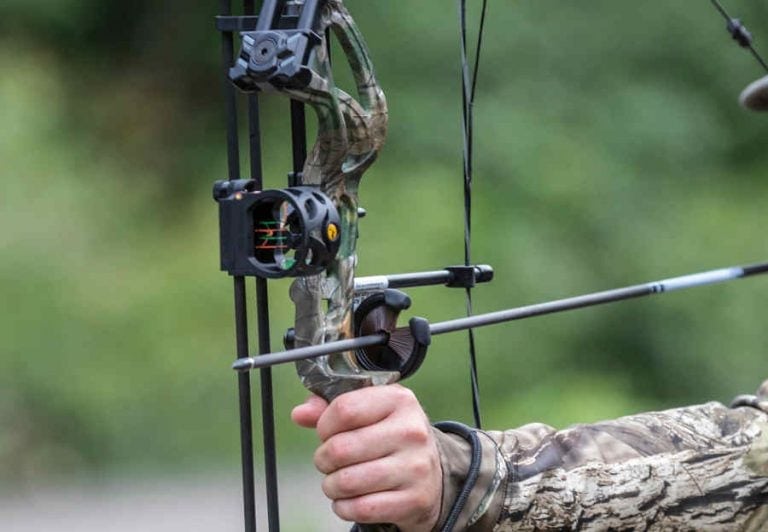 Diamond Edge 320 vs Bear Cruzer G2 HandsOn Review BowAddicted