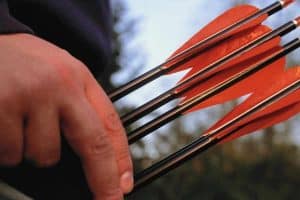 a hand holding a bunch of arrows