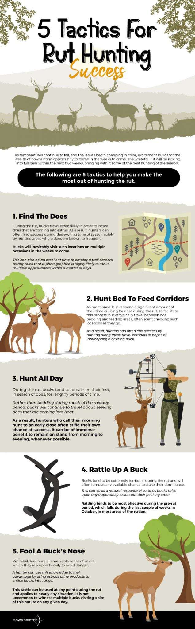 5 Tactics For Rut Hunting Success BowAddicted