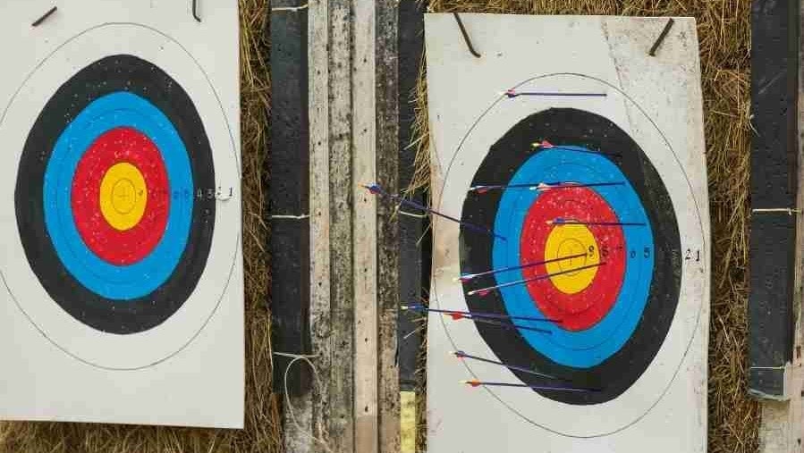 arrows sticking in a target