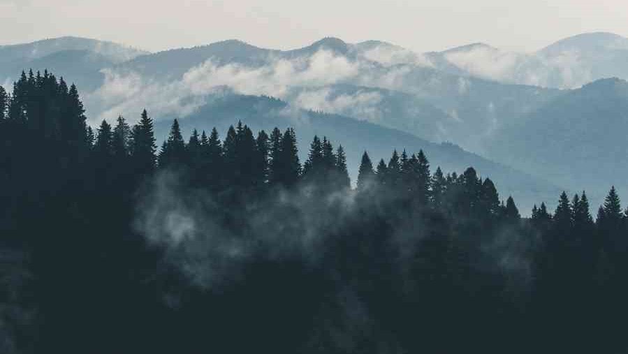 misty mountains and trees
