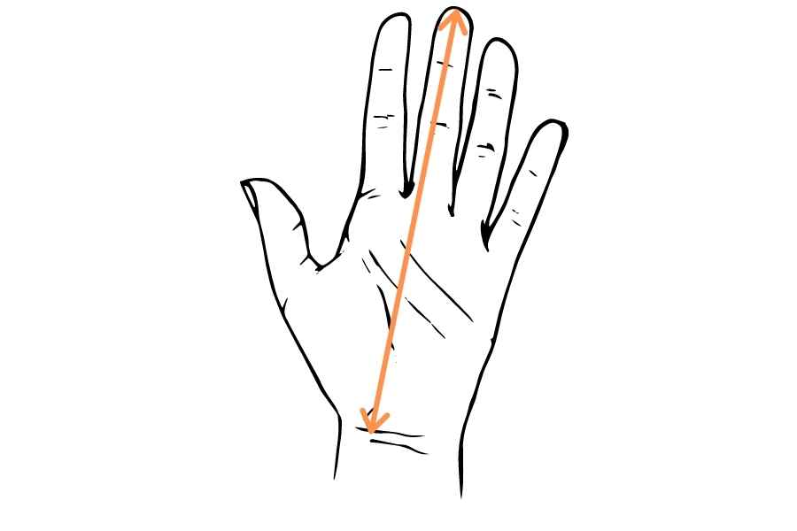 measure the length of hand