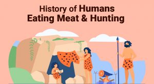 History of Humans Eating Meat & Hunting