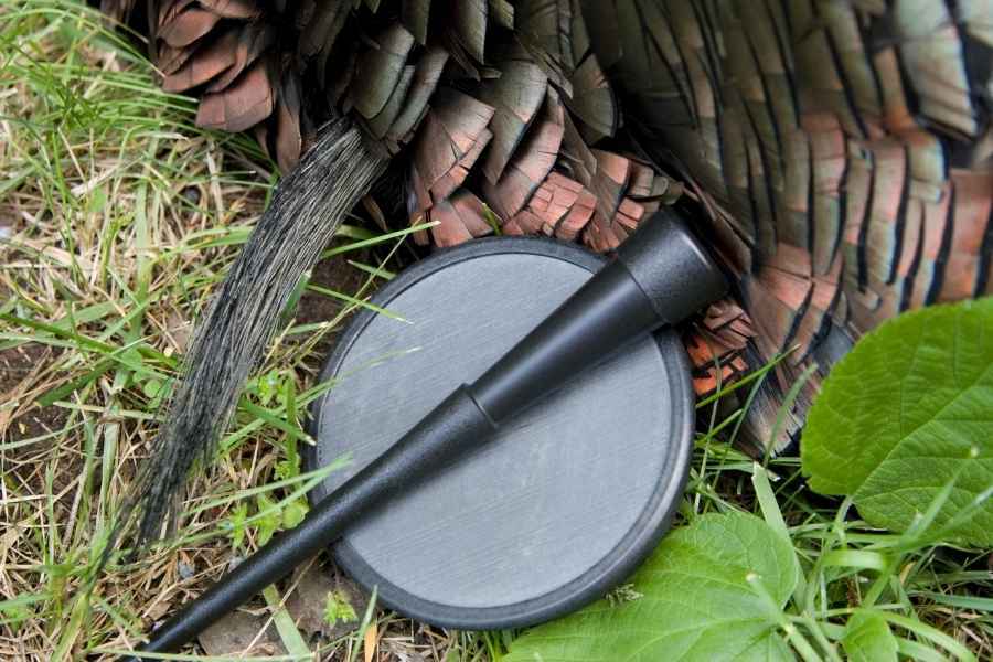 a turkey call and a turkey on the grass