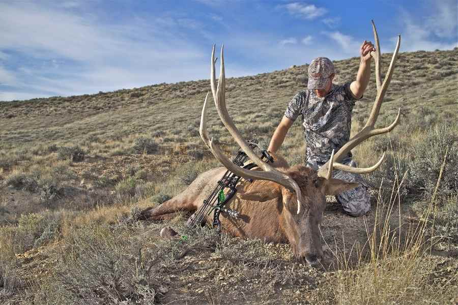 bow hunter that harvested elk dead elk and hunter in landscape