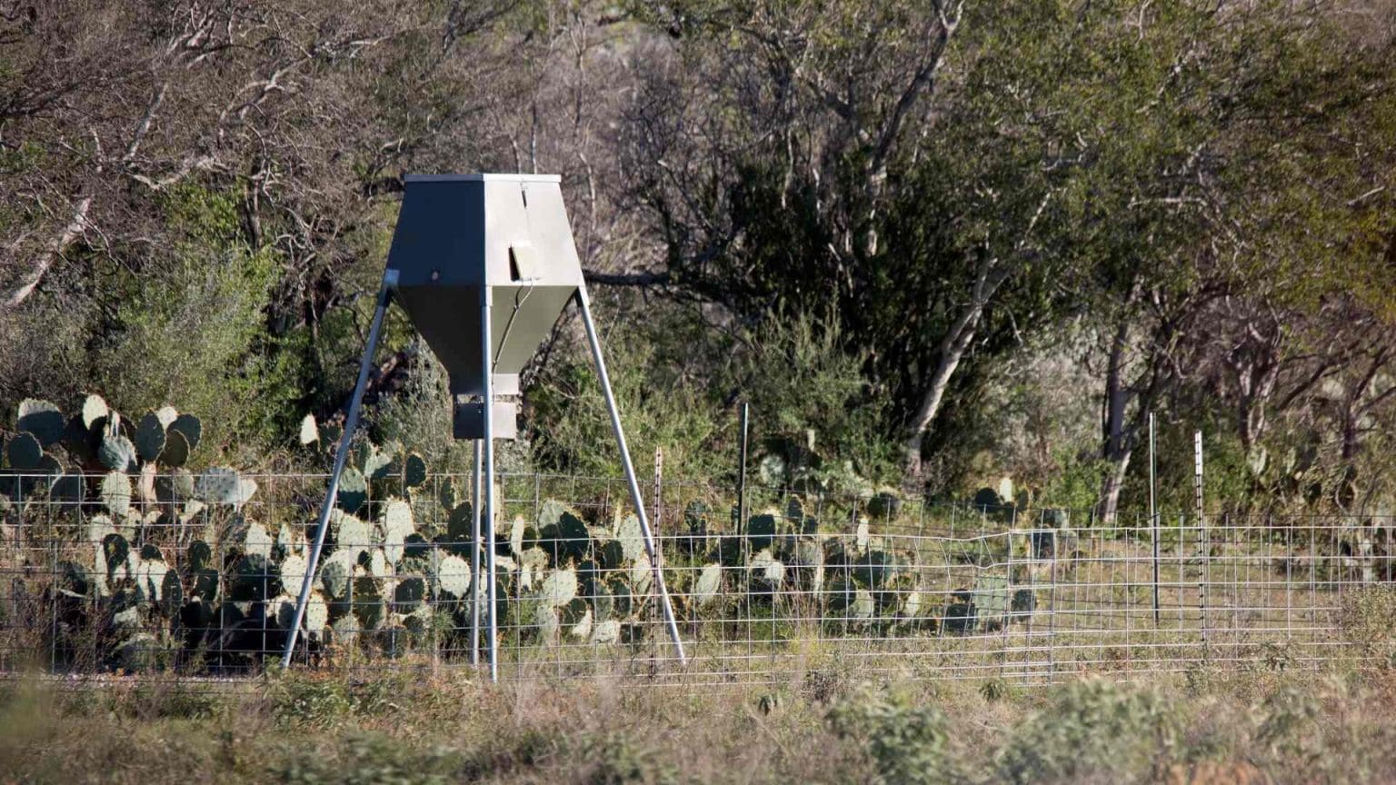 Do Deer Like Molasses? BowAddicted