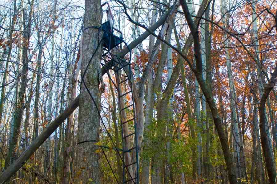 a treestand