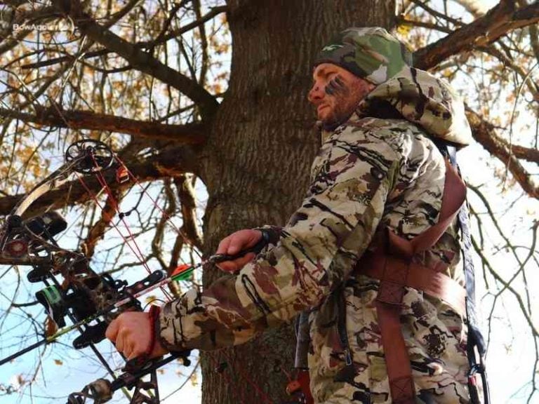 How Do I Keep My Bow Arm Steady? BowAddicted