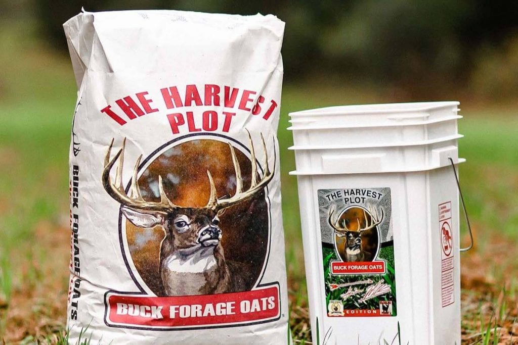 Buck FOrage Oats Bag and