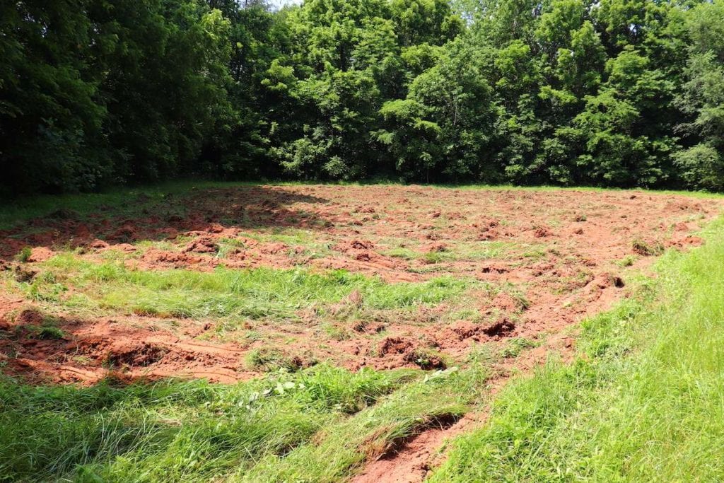 food plot preparation buck forage oats