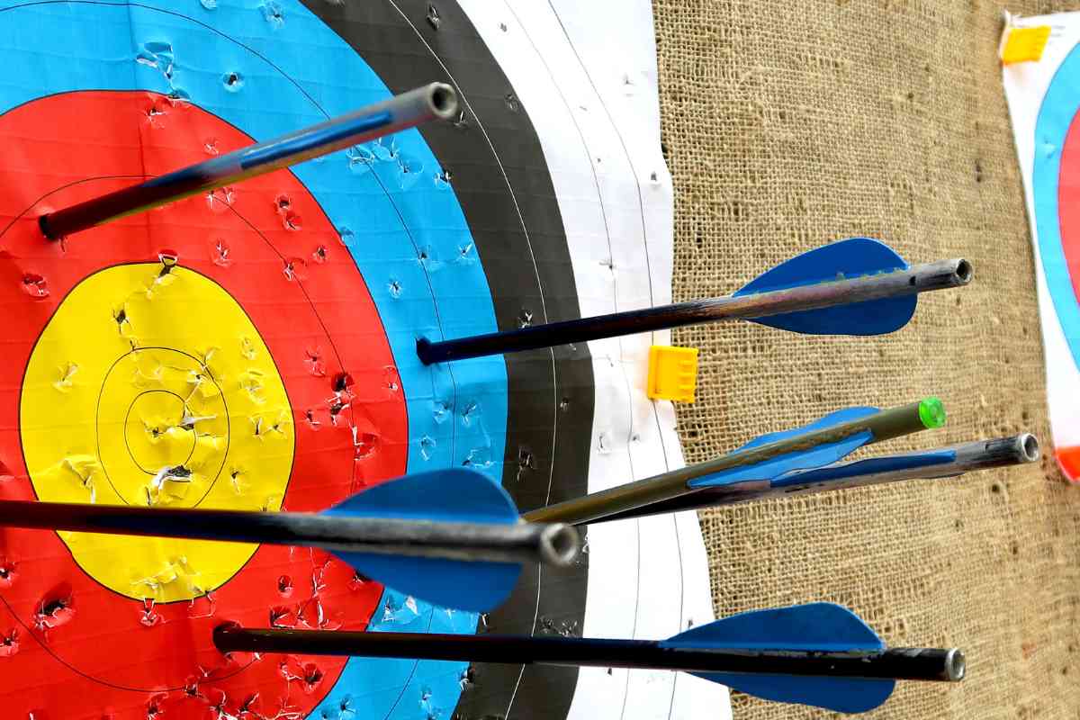 a bunch of crossbow bolts sticking in a archery target