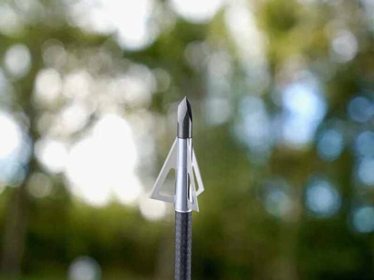 Best Broadheads For Elk Hunting [currentyear] BowAddicted